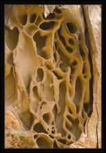 _DSC1110
